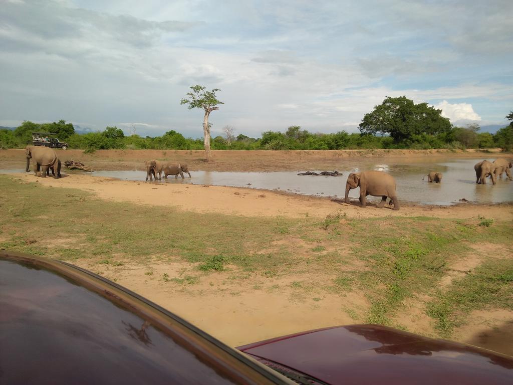 Brookline Safari Resort Udawalawe Exterior foto