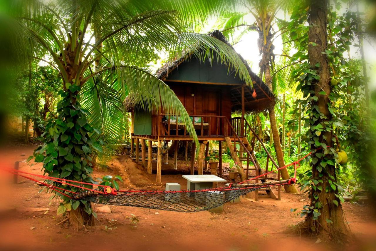 Brookline Safari Resort Udawalawe Exterior foto